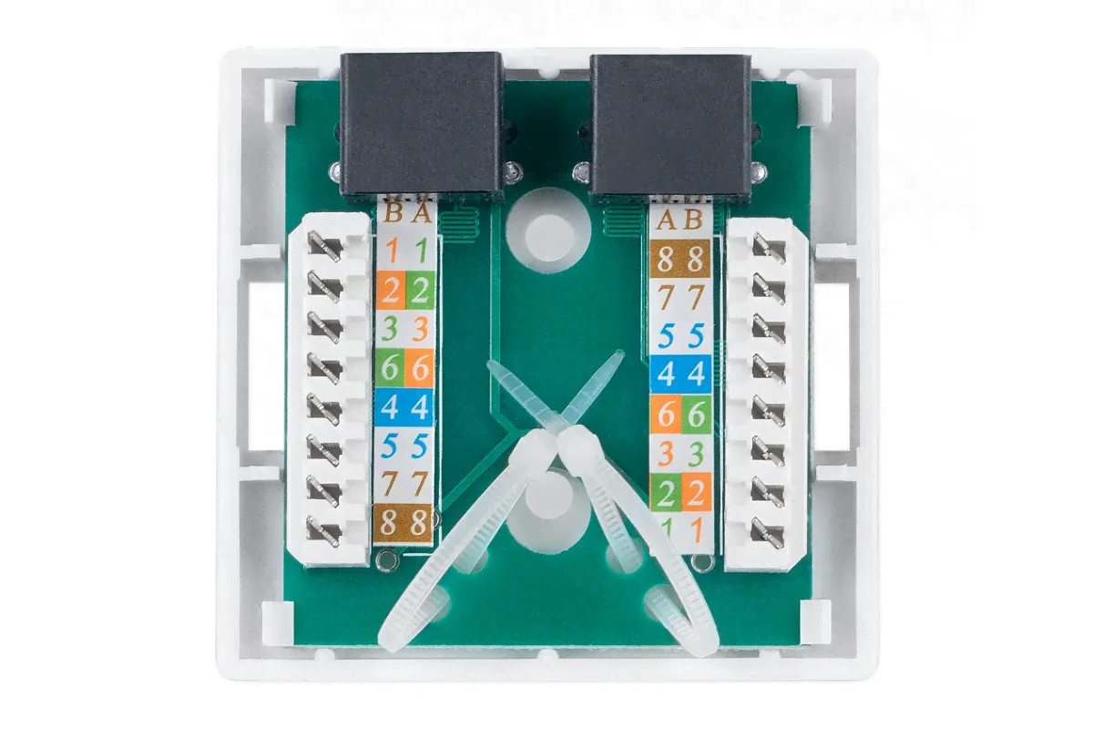 Компьютерная розетка RJ-45 Cabeus WS-8P8C-Cat.6-2-0